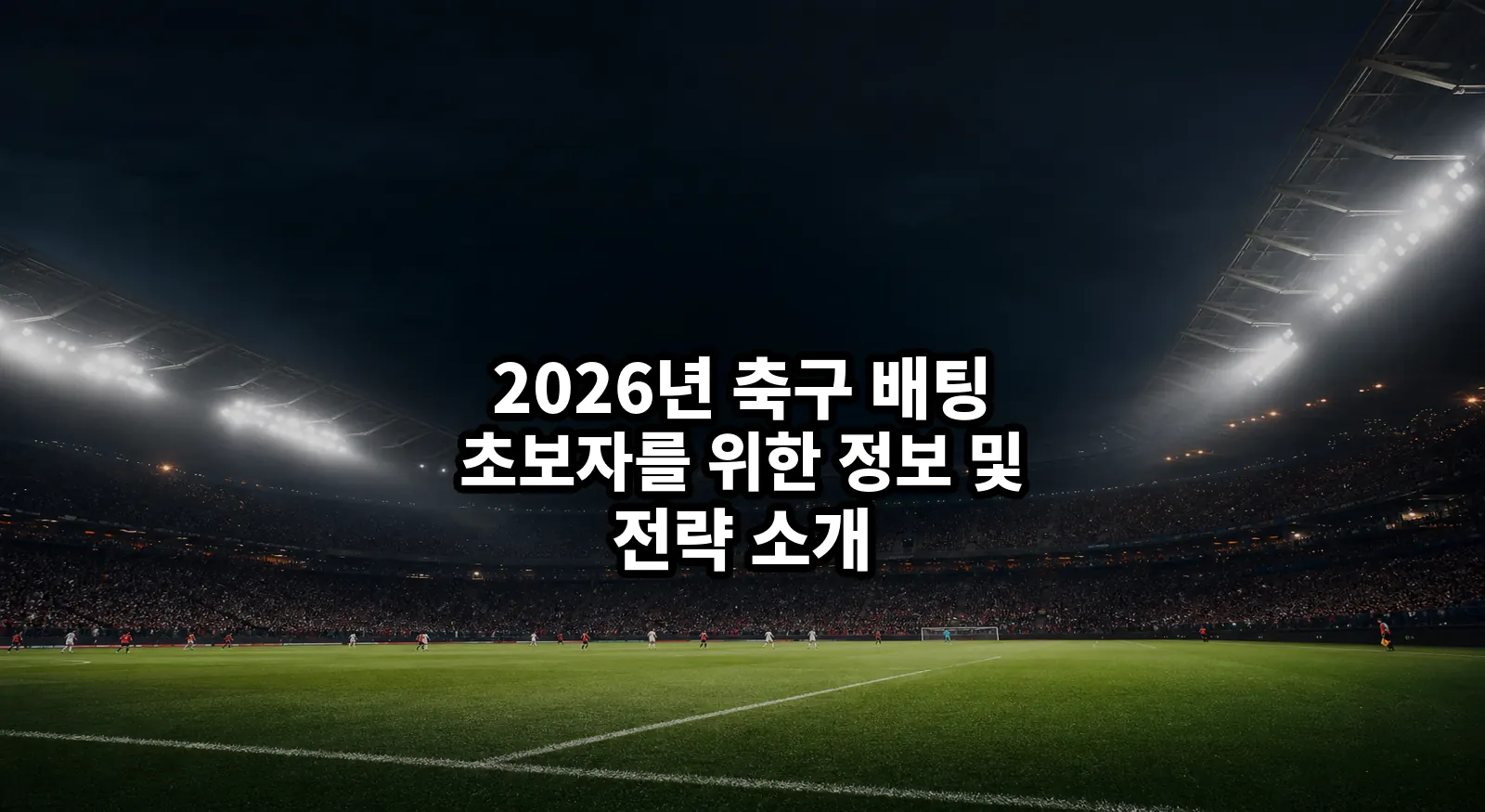 2026 축구 배팅 초보자 가이드 대표 이미지